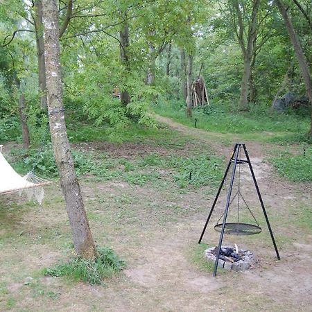 Pipowagen/Paardentram Villa Dreumel Dış mekan fotoğraf