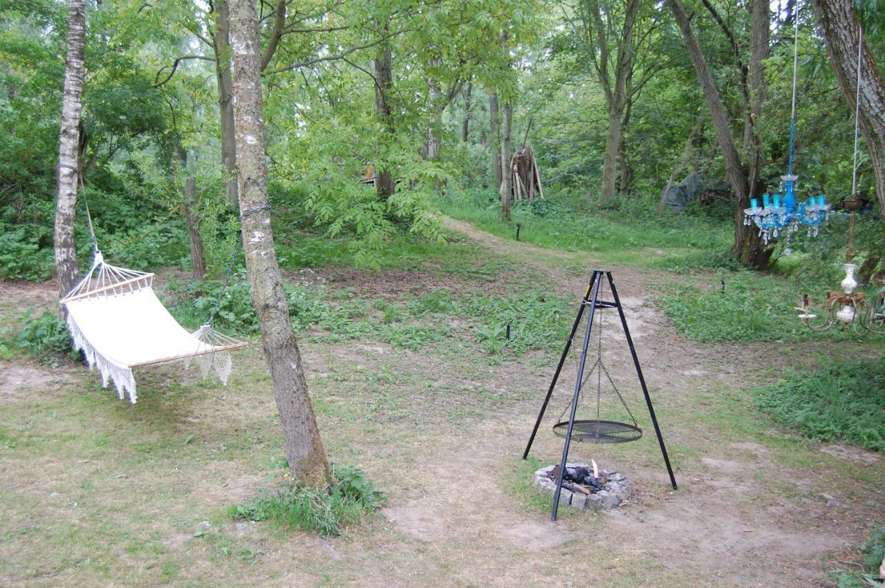 Pipowagen/Paardentram Villa Dreumel Dış mekan fotoğraf