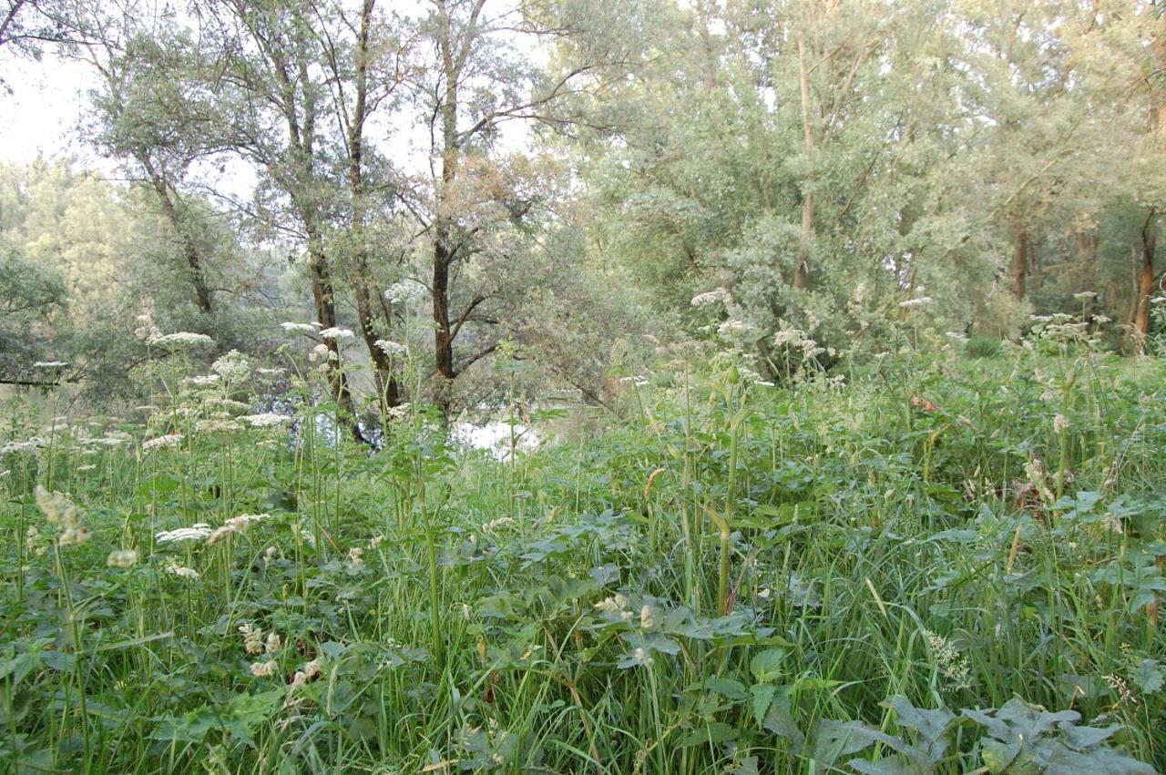 Pipowagen/Paardentram Villa Dreumel Dış mekan fotoğraf