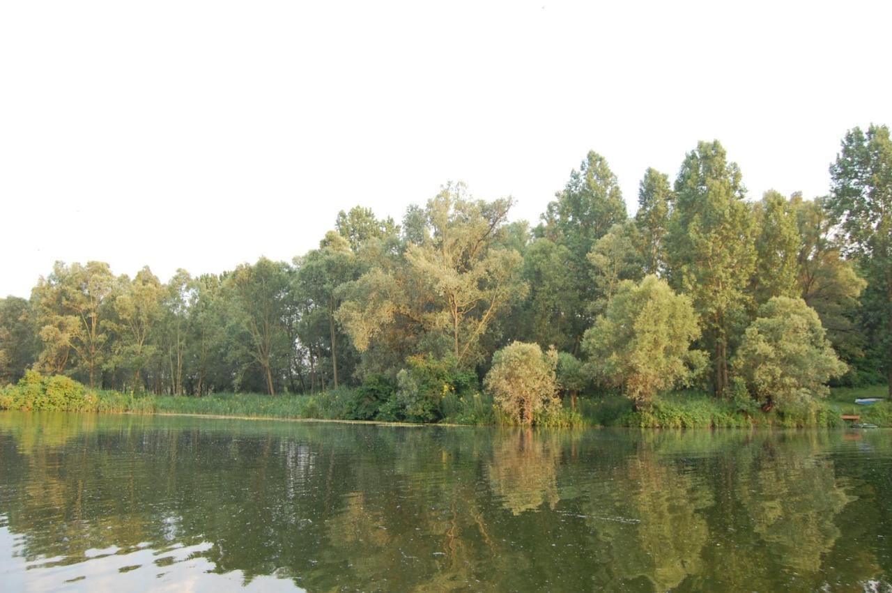 Pipowagen/Paardentram Villa Dreumel Dış mekan fotoğraf