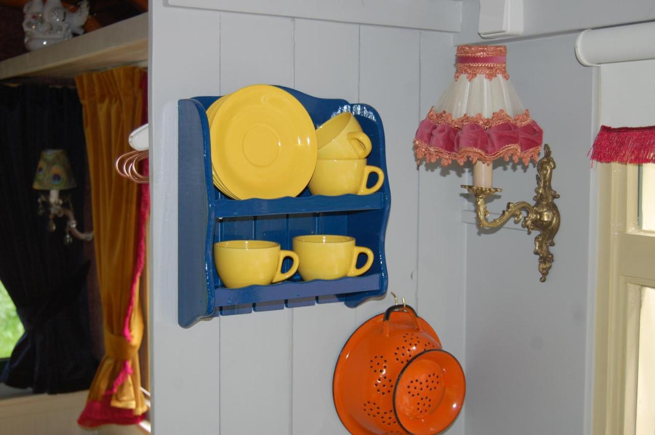Pipowagen/Paardentram Villa Dreumel Dış mekan fotoğraf